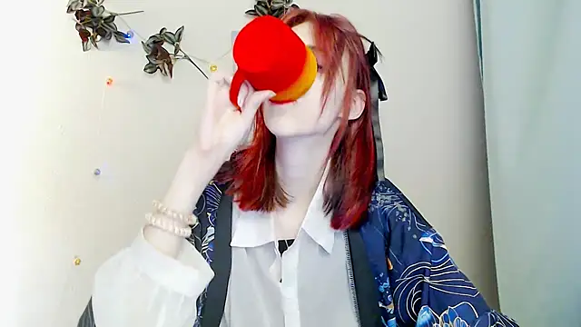 GuessMe___n Webbikameraesitys