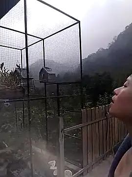 linda_bae00 在線直播表演