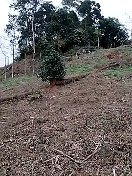 linda_bae00 Show in webcam