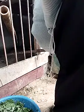 linda_bae00 Webcam-Show