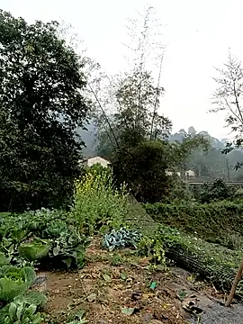 linda_bae00 Webcam show