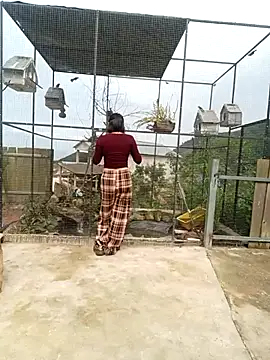 Pertunjukan Kamera Web linda_bae00