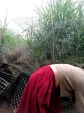 linda_bae00's Webcam Show