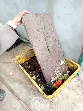 linda_bae00 webkamerás műsora