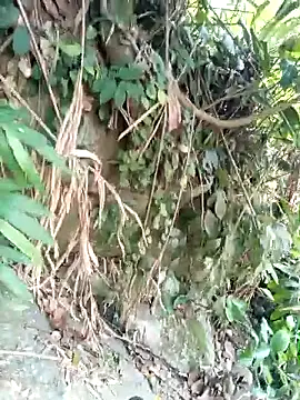 linda_bae00's Webcam Show