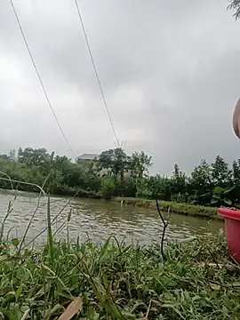 Linda-yiyi 网络视讯表演