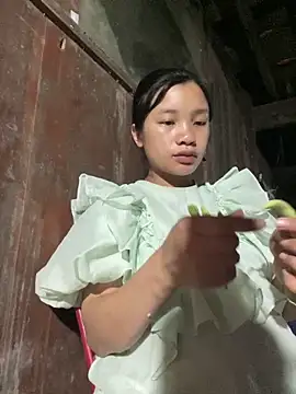 beobeo_2xx 网络视讯表演