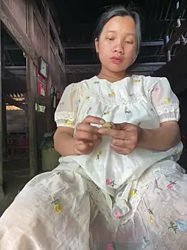 beobeo_2xxのウェブカメラショー