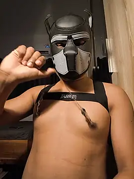 BamBra21 webkamerás műsora