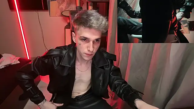 davesinnern Webbikameraesitys