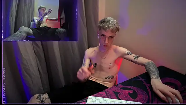 davesinnern Webbikameraesitys