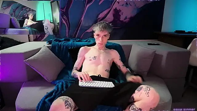 davesinnern Webbikameraesitys