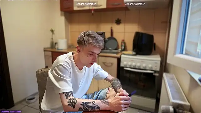 Show webcam de davesinner