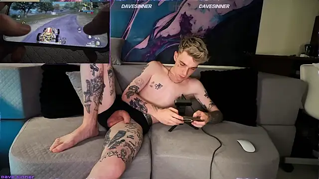 Show Webcam de davesinner