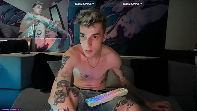 Show webcam de davesinner
