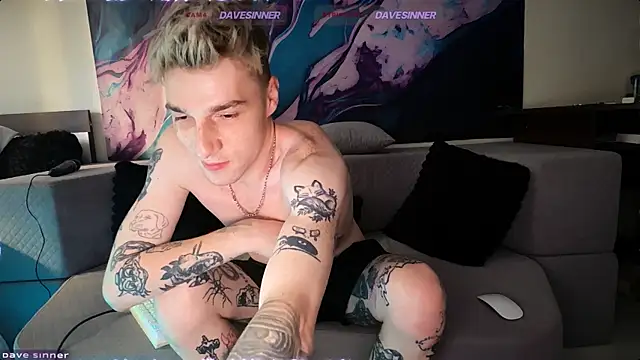 Show webcam de davesinner