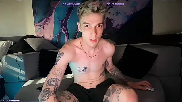 davesinner Webcam-Show