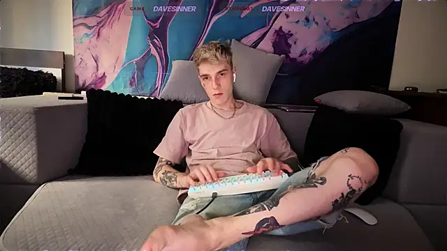 davesinnern Webbikameraesitys