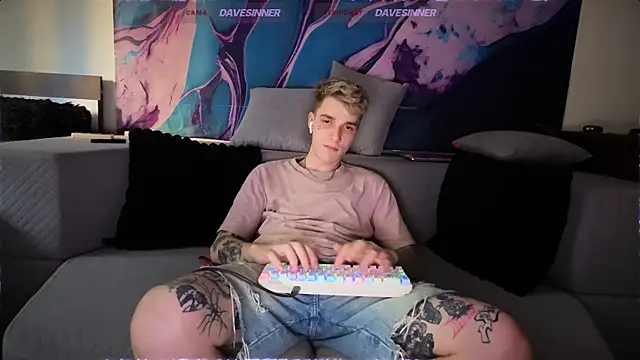 davesinnern Webbikameraesitys