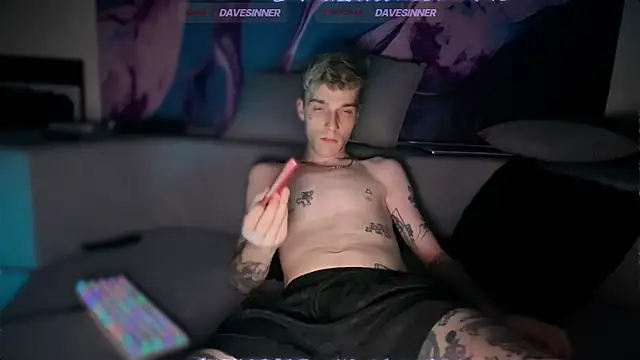 Show de webcam de davesinner