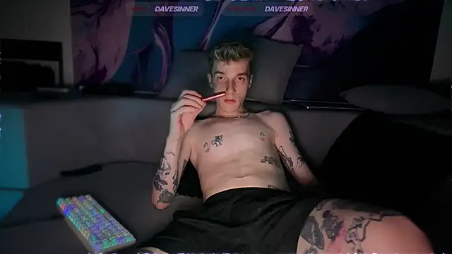 Show modela davesinner na web-kameri