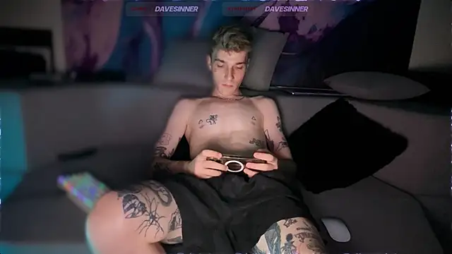 davesinnern Webbikameraesitys