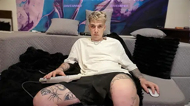 davesinnern Webbikameraesitys