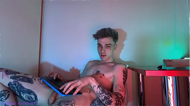 Show Webcam de davesinner