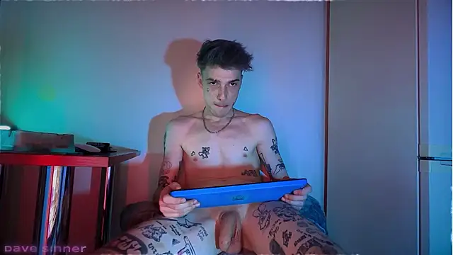 Show webcam de davesinner