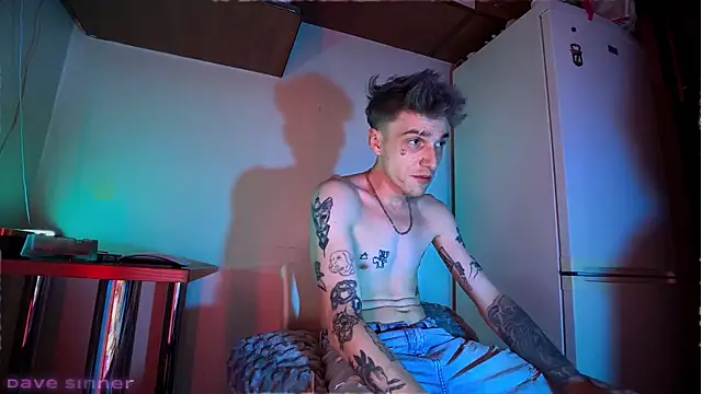 Show Webcam de davesinner