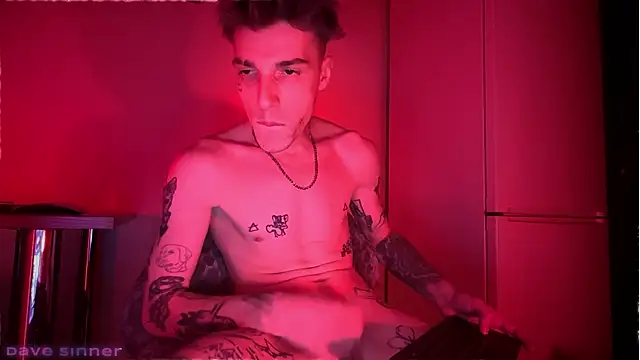davesinner Webcam show