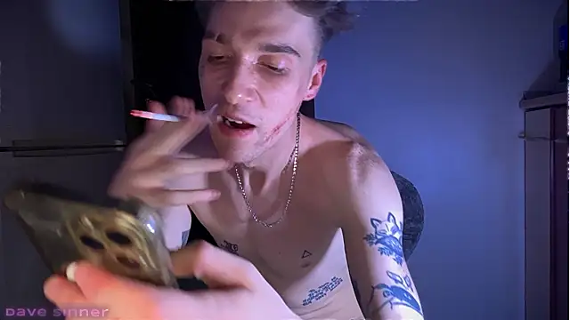 Show de webcam de davesinner