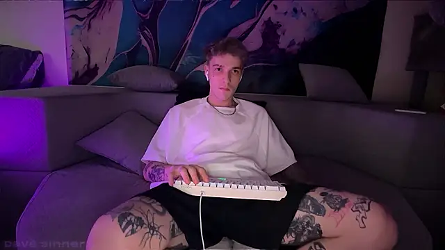 Show Webcam de davesinner