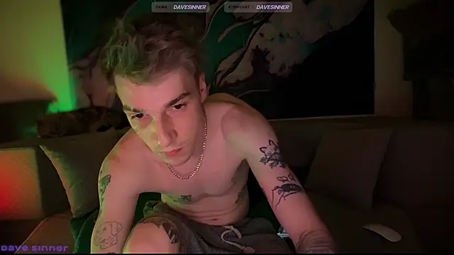 davesinner Show Webcam