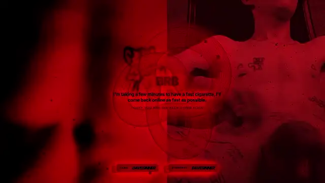 Show Webcam de davesinner