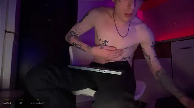 davesinner webcam show