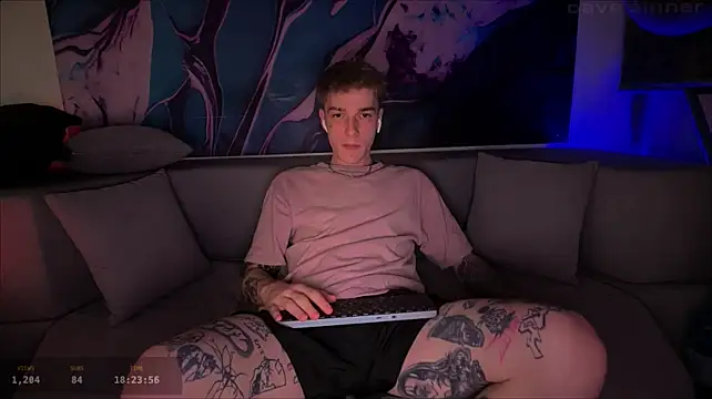 Show de davesinner na webcam