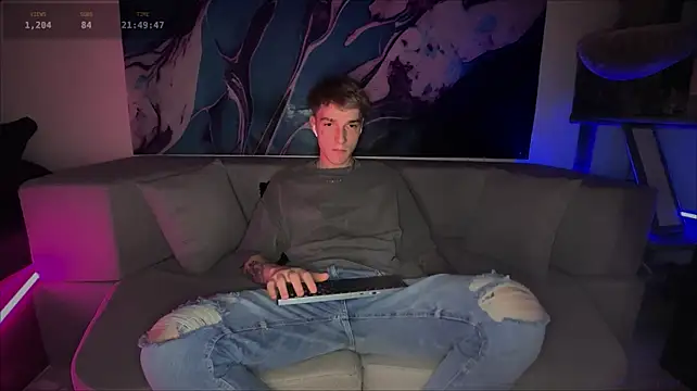 davesinnern Webbikameraesitys