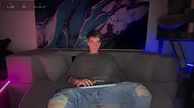 Show webcam de davesinner