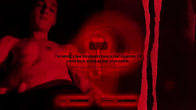 Show Webcam de davesinner
