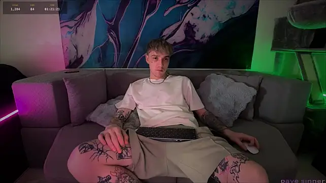 davesinnern Webbikameraesitys