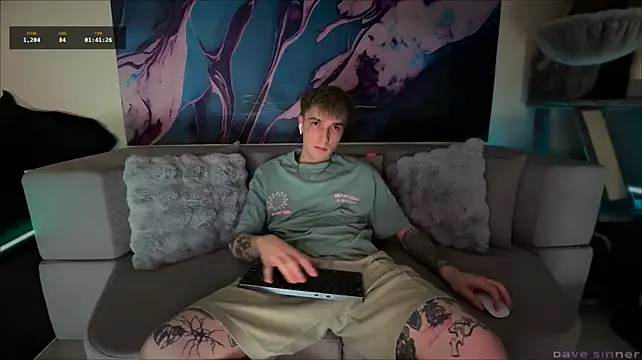 Show Webcam de davesinner