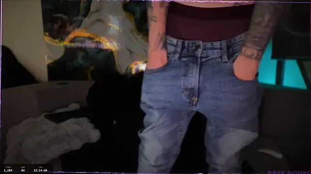 davesinner Webcam show