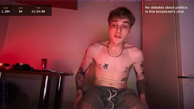 davesinnern Webbikameraesitys