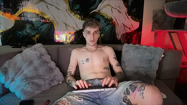davesinnern Webbikameraesitys