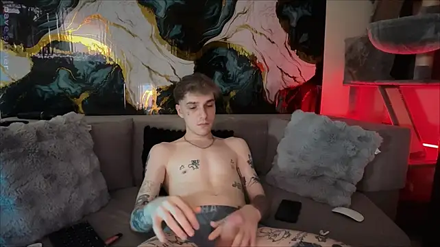 Show webcam de davesinner