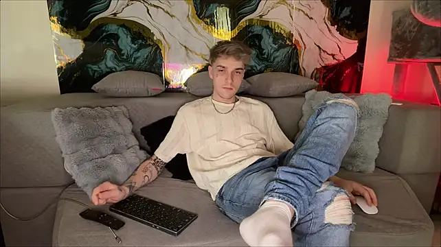 davesinnern Webbikameraesitys