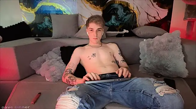 הופעת וובקאם של davesinner