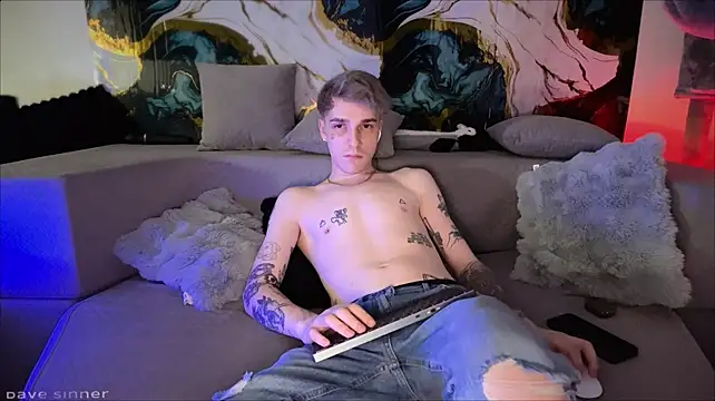 Show de webcam de davesinner
