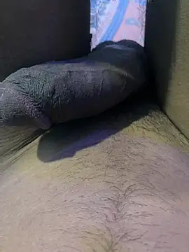 הופעת וובקאם של sanddyk99